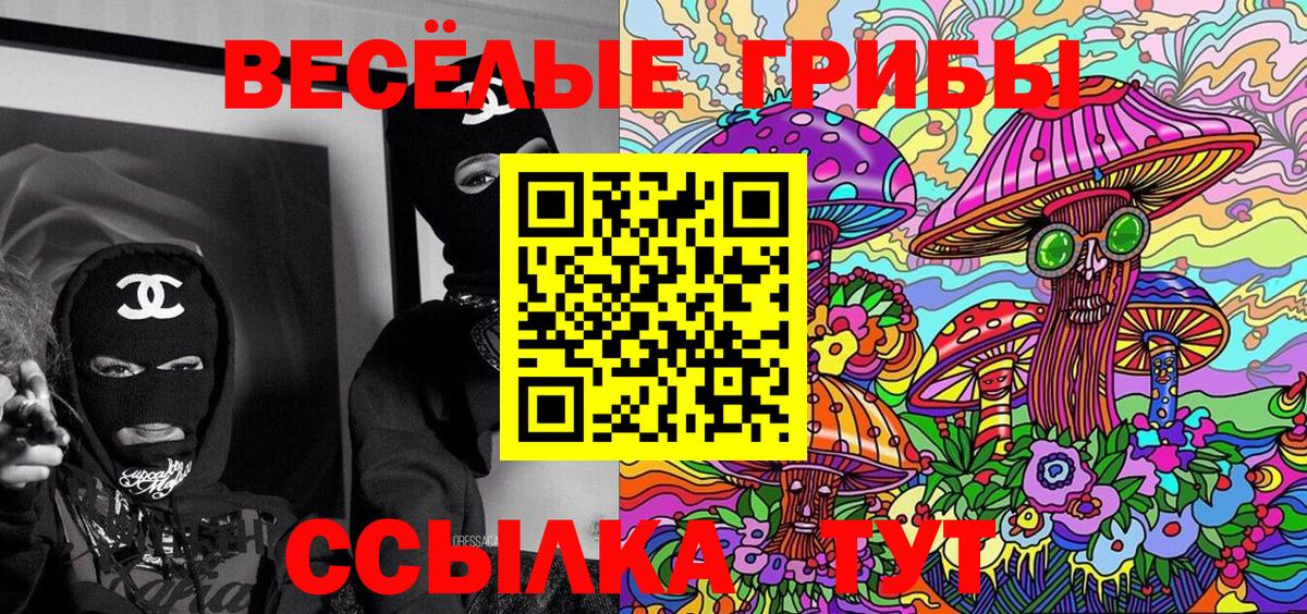 Галлюциногенные грибы прущие грибы Солнечногорск