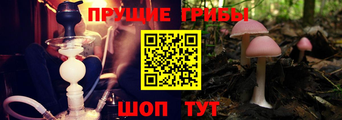 APVP Солнечногорск