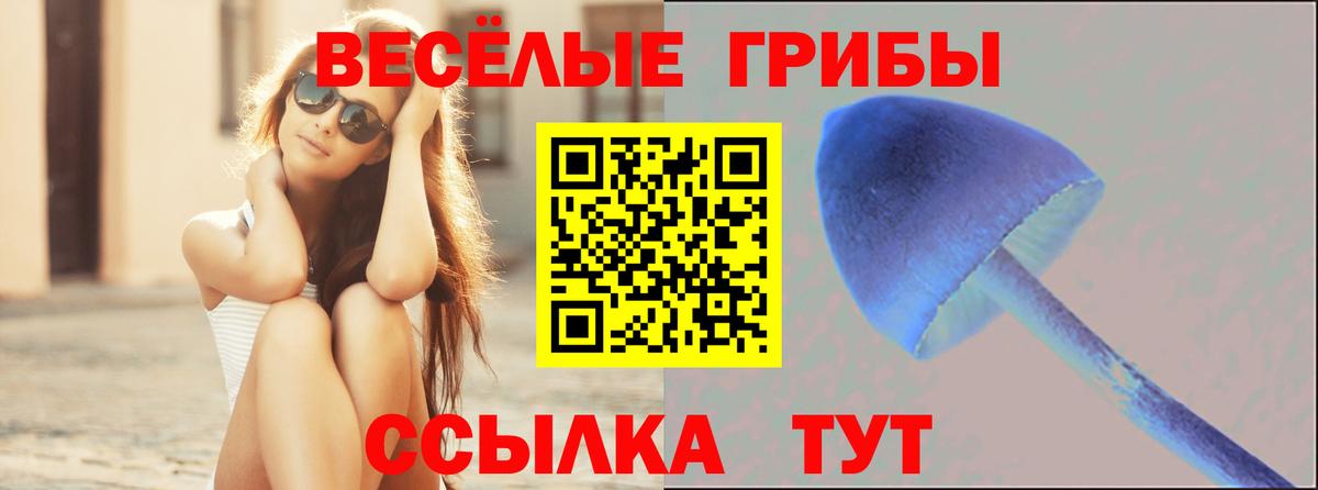 Псилоцибиновые грибы Magic Shrooms  Вход с VPN  Солнечногорск 
